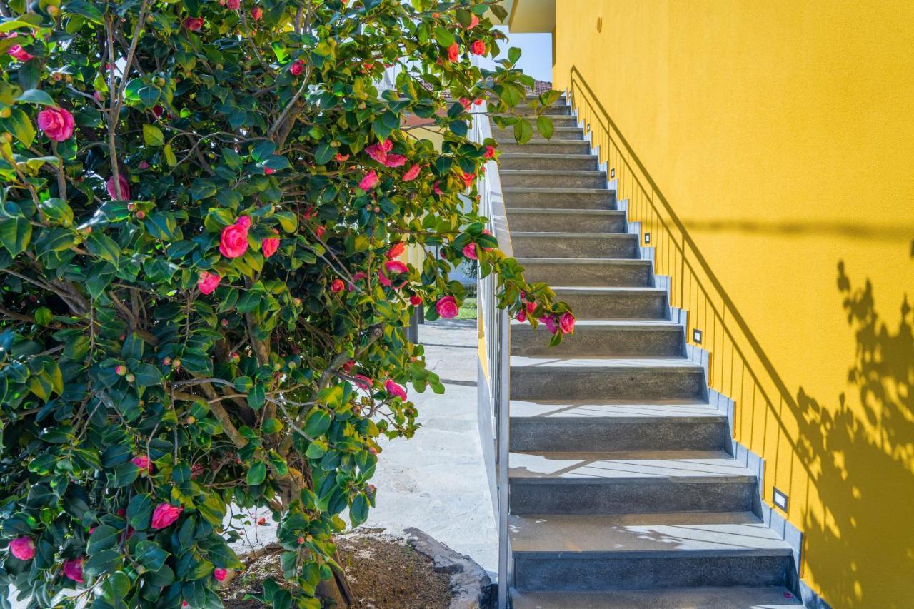 Agricanto Sestri Levante Exterior foto